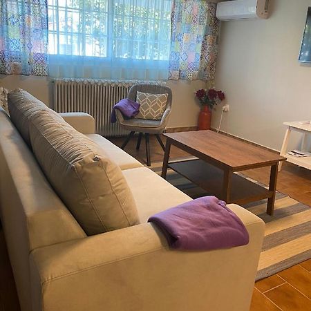Agapis Residence Kalivia Thorikou المظهر الخارجي الصورة